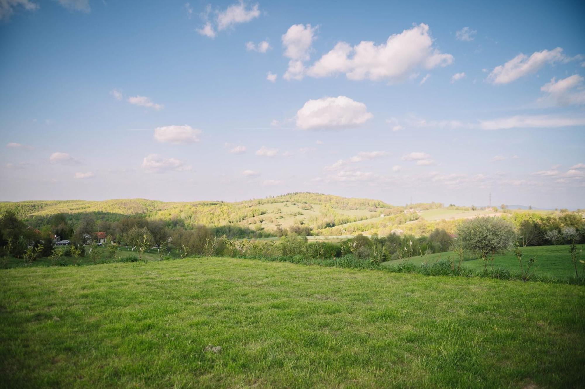 Casa Moderna In Sinteu - Intersectia Intre Modern Si Linistea Naturii Huta Voivozi Esterno foto